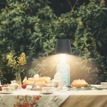 Techly 369441 Lampka LED bezprzewodowa na butelkę - B2B Netinet