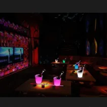 Techly 369007 Świecące wiaderko do lodu LED RGB - B2B Netinet