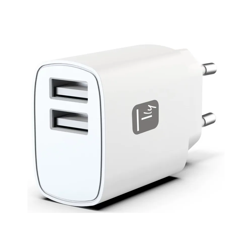 Techly 620430 Ładowarka sieciowa 2x USB 12W 2.4A max - B2B Netinet