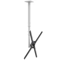 Barkan 3500 Biały wieszak TV sufitowy do 65" regulowany - B2B Netinet