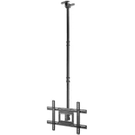 Manhattan 462051 Wieszak sufitowy do telewizora 37-80" - B2B Netinet