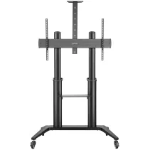 Manhattan 462341 Aluminiowy stojak mobilny TV 70-120" - B2B Netinet