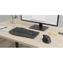 Techly 621994 Ergonomiczna mysz Wireless 2.4G + USB - B2B Netinet