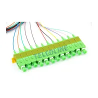 Pigtaile światłowodowe SC/APC LSZH 12 szt. G.657 0.9mm 1m