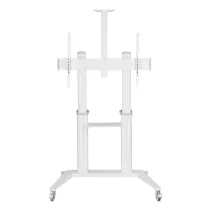 Techly ICA-TR49W Stojak mobilny TV 70-120" z półkami - B2B Netinet
