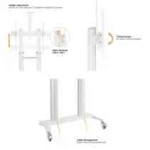 Techly ICA-TR49W Stojak mobilny TV 70-120" z półkami - B2B Netinet