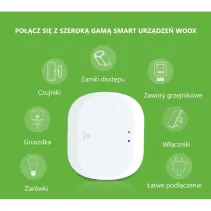 Smart bramka Zigbee/WiFi Gateway