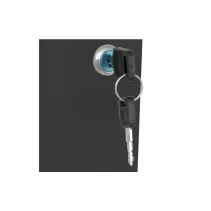 Szafa wisząca 12U 60/60 szyba