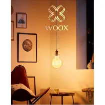 Smart żarówka LED 4,9W retro typ G95, WiFi, mocowanie E27