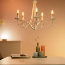 Smart żarówka LED 4,9W Retro, typ C37, WiFi, mocowanie E14